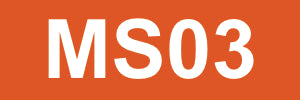 Tieflöffel MS03